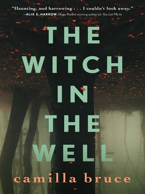 cover image of The Witch In the Well